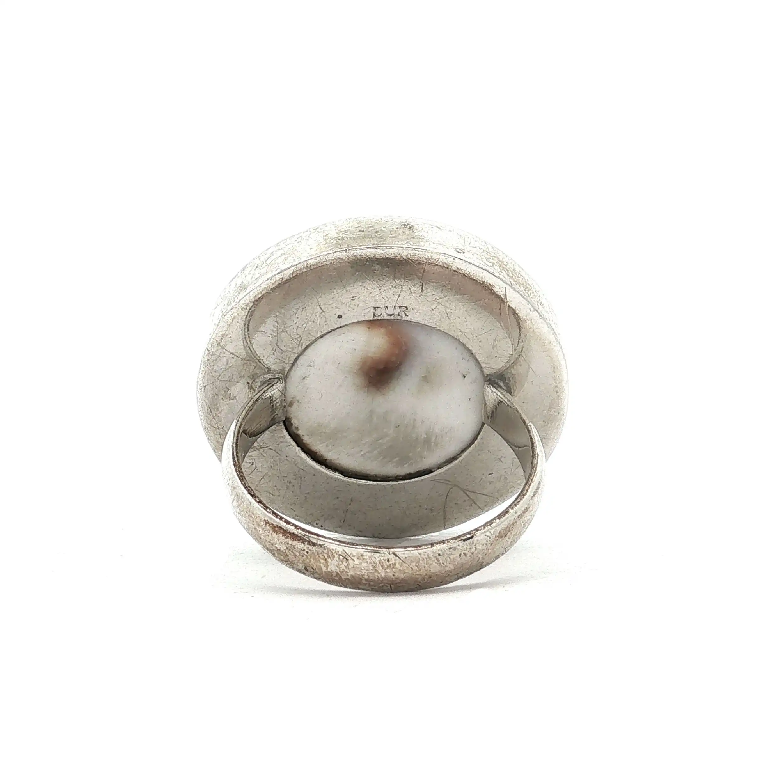 Ring Silber mit Shiva-Auge-Muschel
