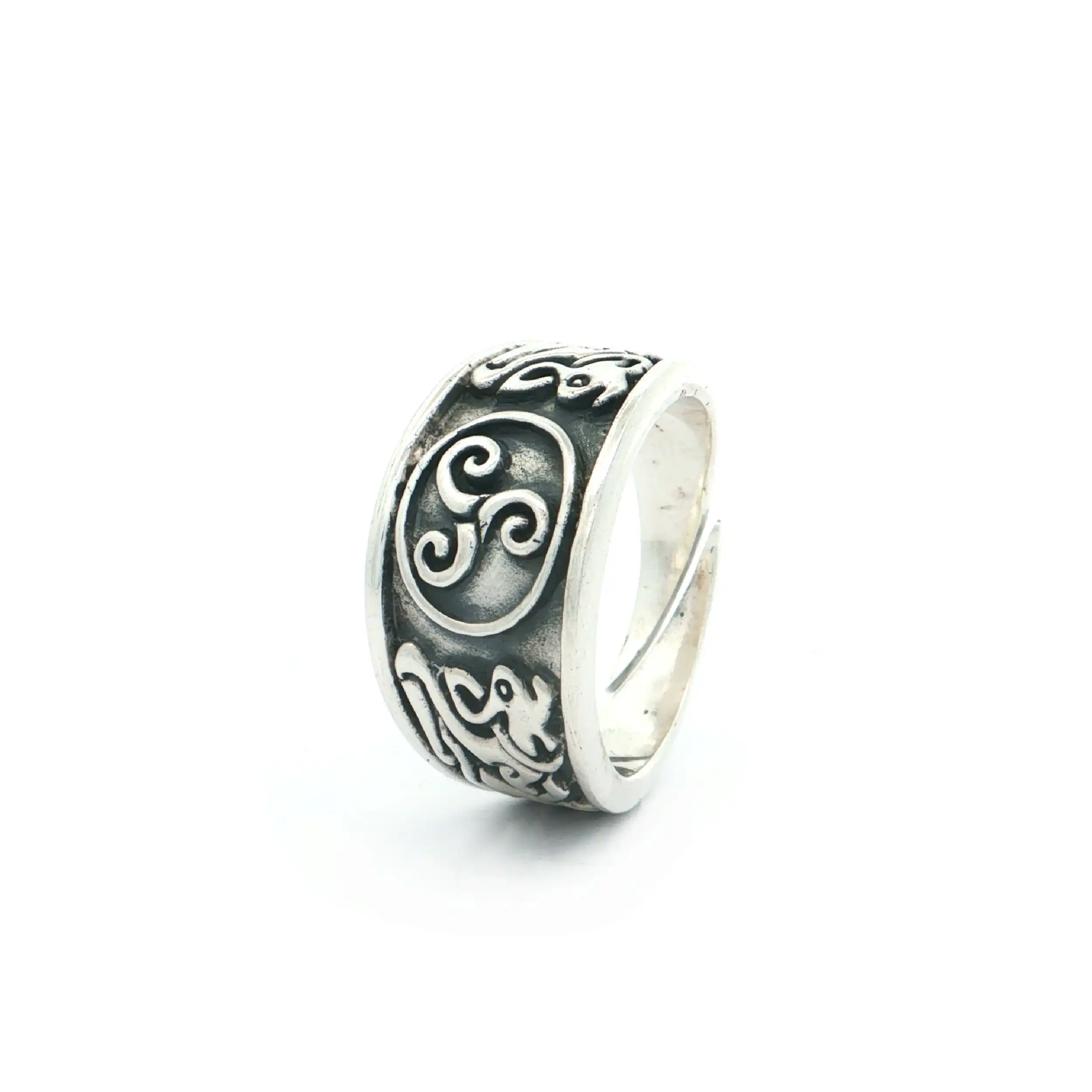 Ring Silber Ring Silber