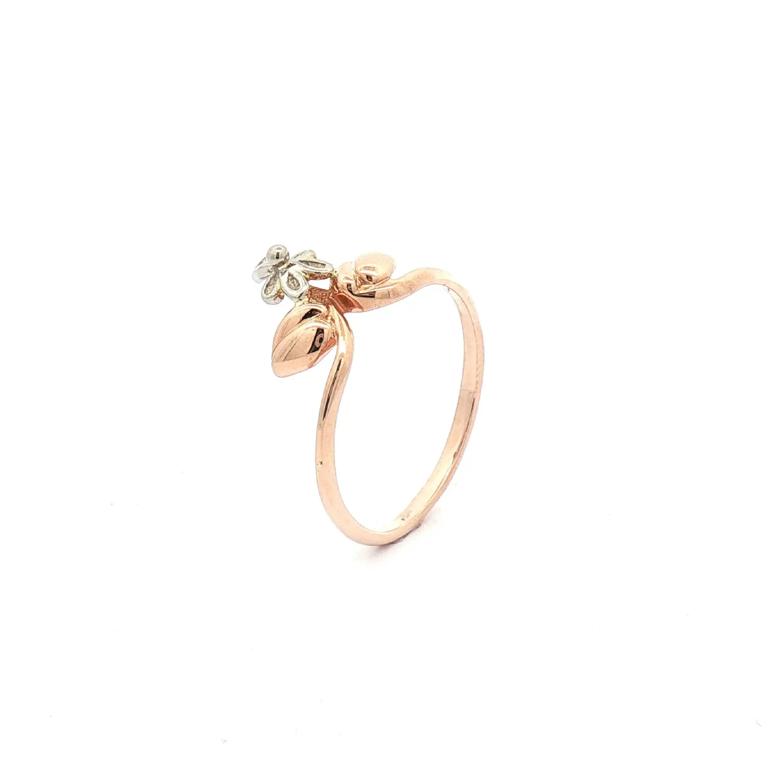 Ring Bicolor Ring Bicolor