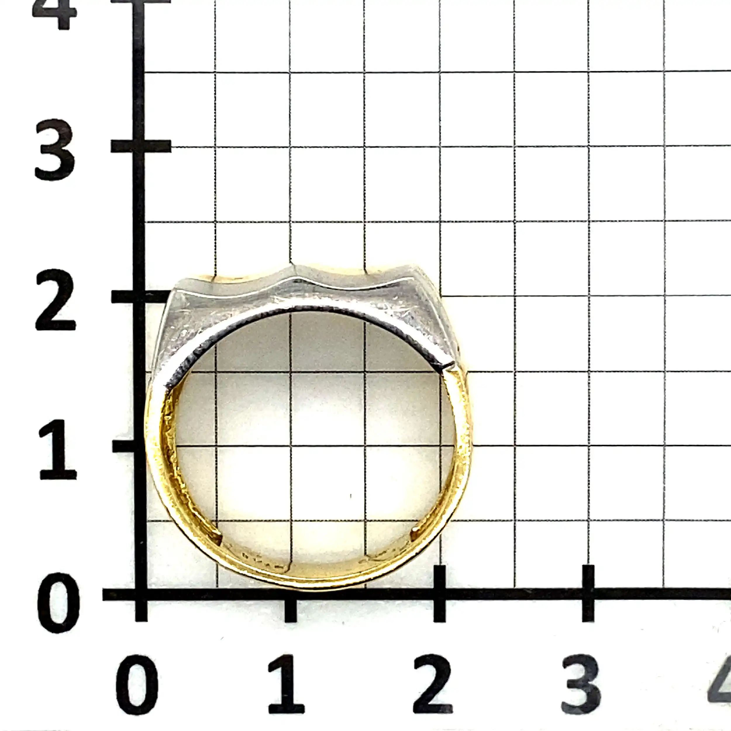Ring Bicolor Ring Bicolor