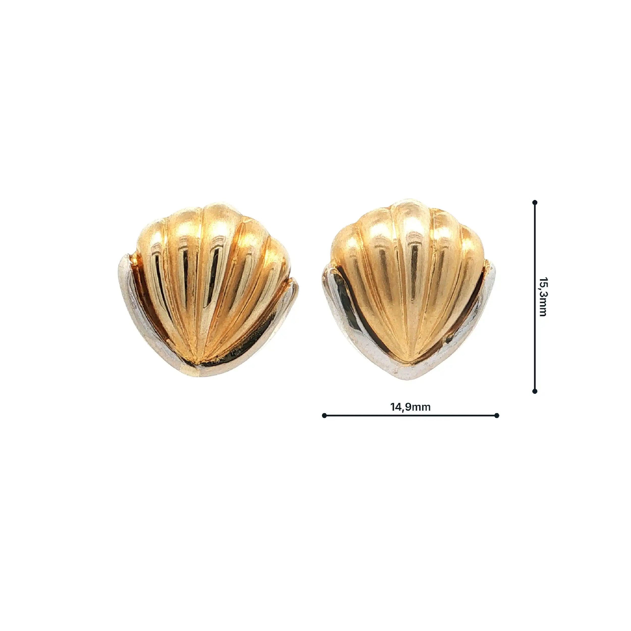 Ohrstecker Bicolor Muschel hohl