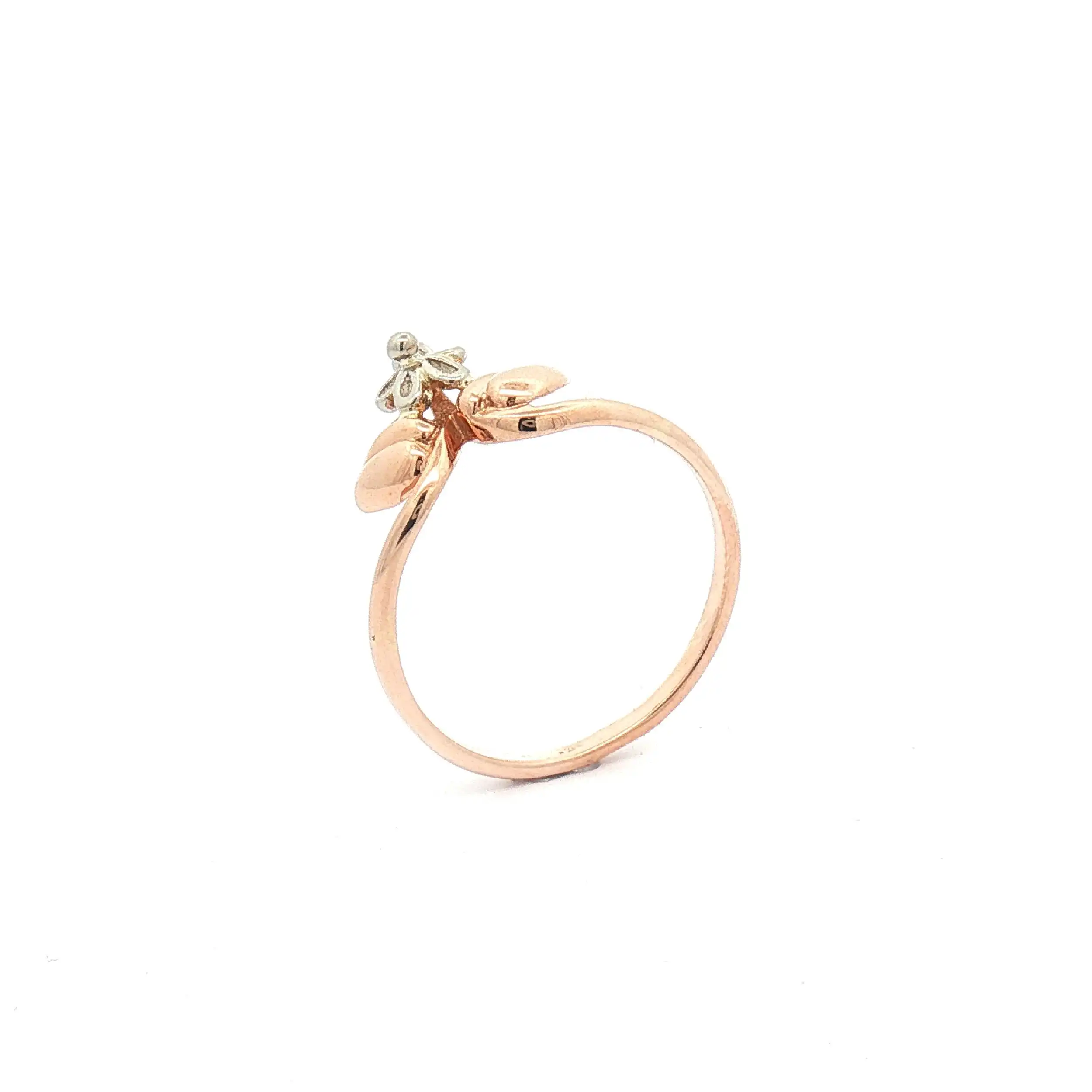 Ring Bicolor