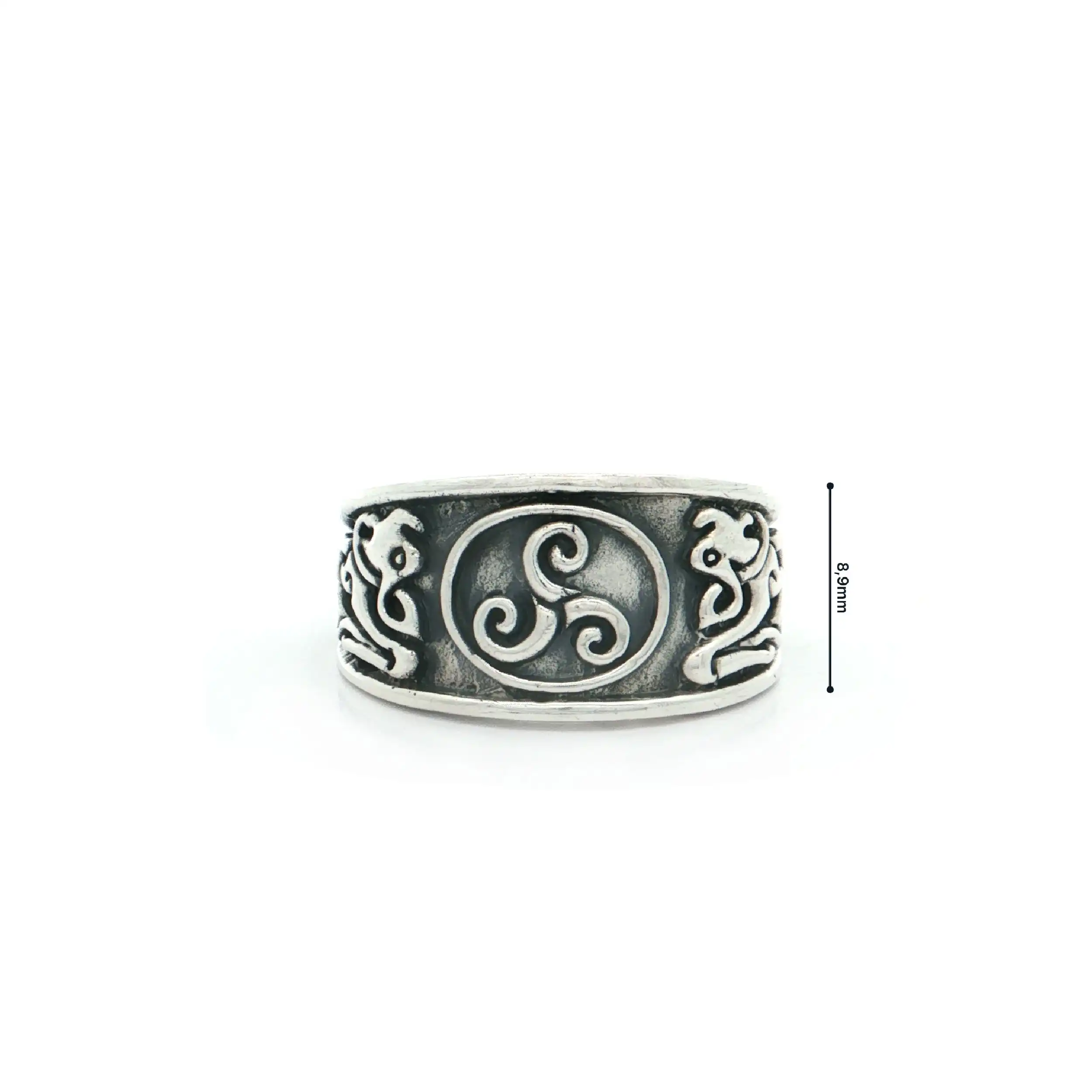 Ring Silber Ring Silber