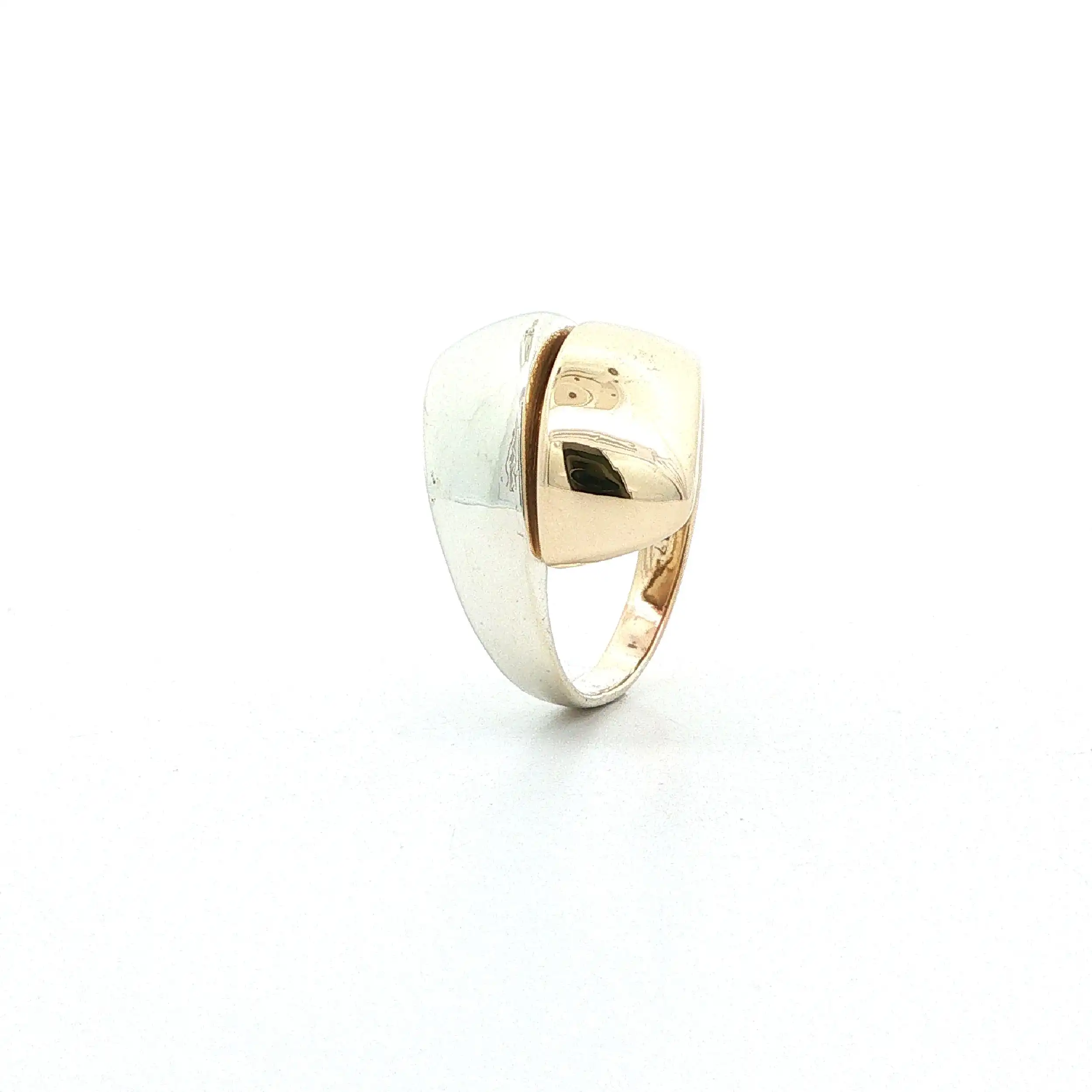 Ring Bicolor Ring Bicolor