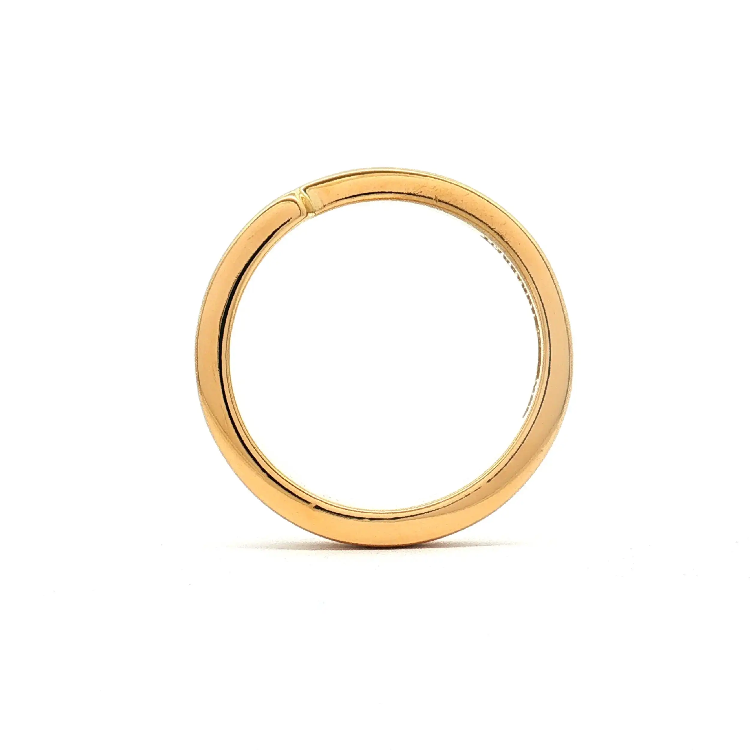 Ring Bicolor