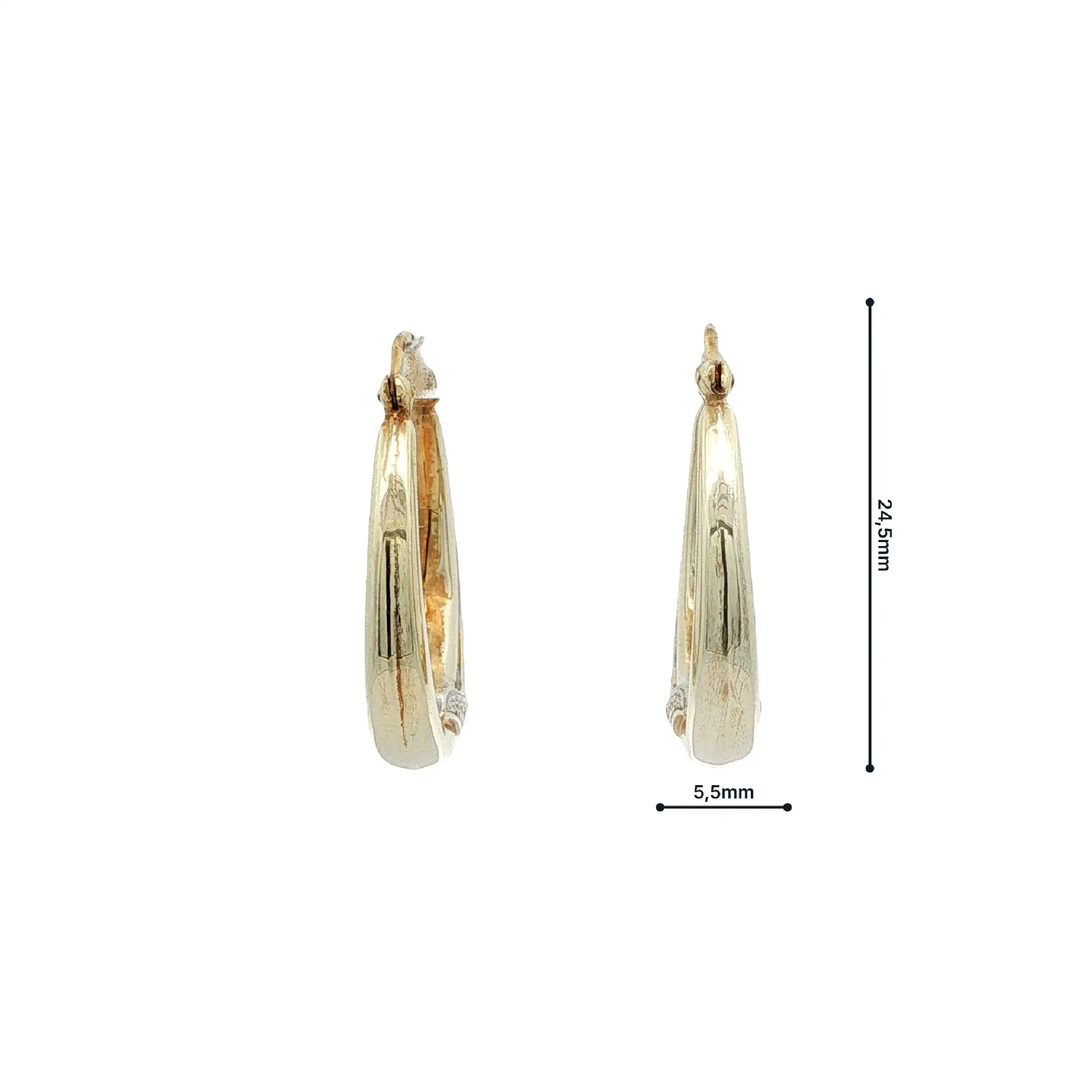 Creolen Bicolor hohl