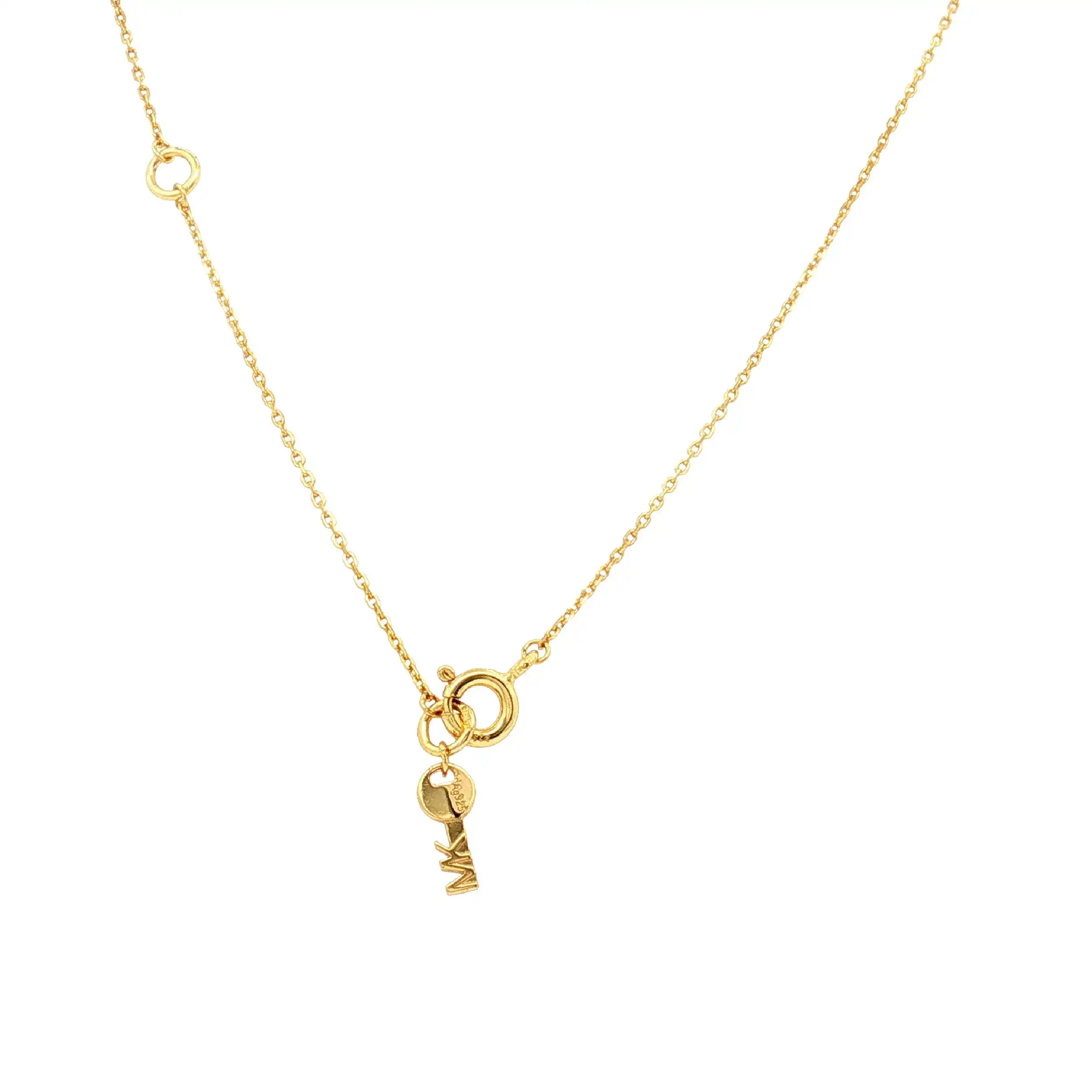Collier Michael Kors Silber vergoldet Collier Michael Kors Silber vergoldet