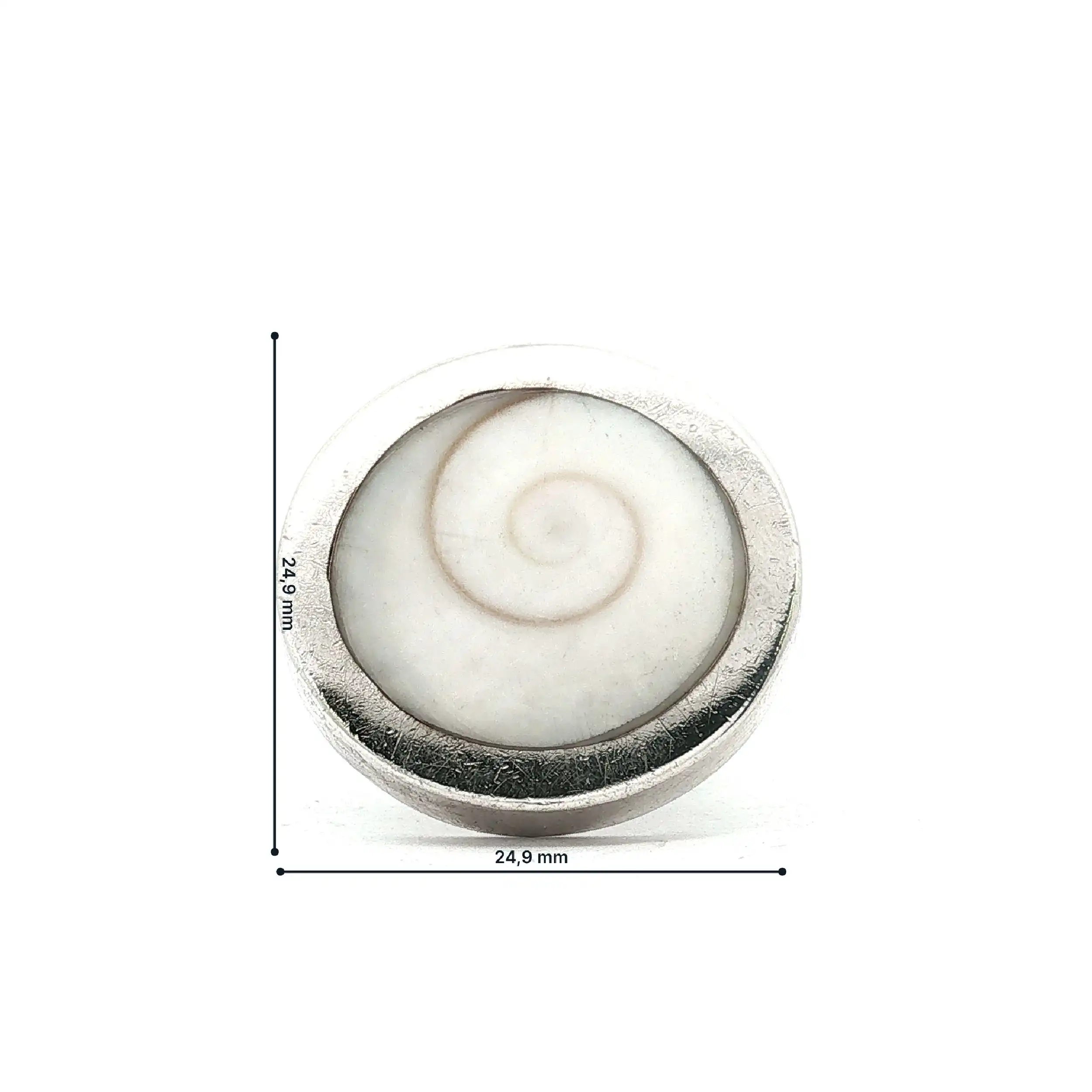 Ring Silber mit Shiva-Auge-Muschel