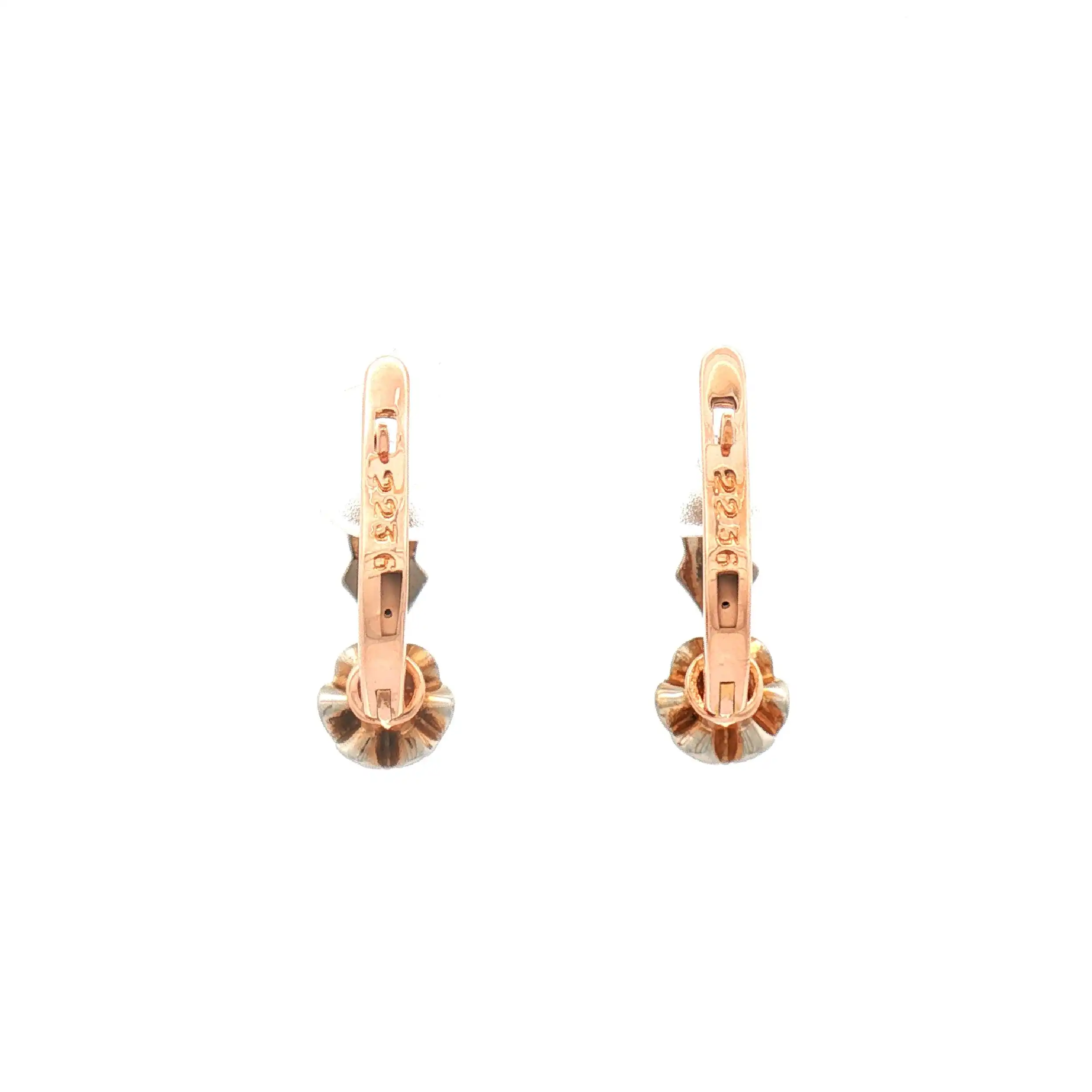 Ohrringe Bicolor mit Diamant und Brillant