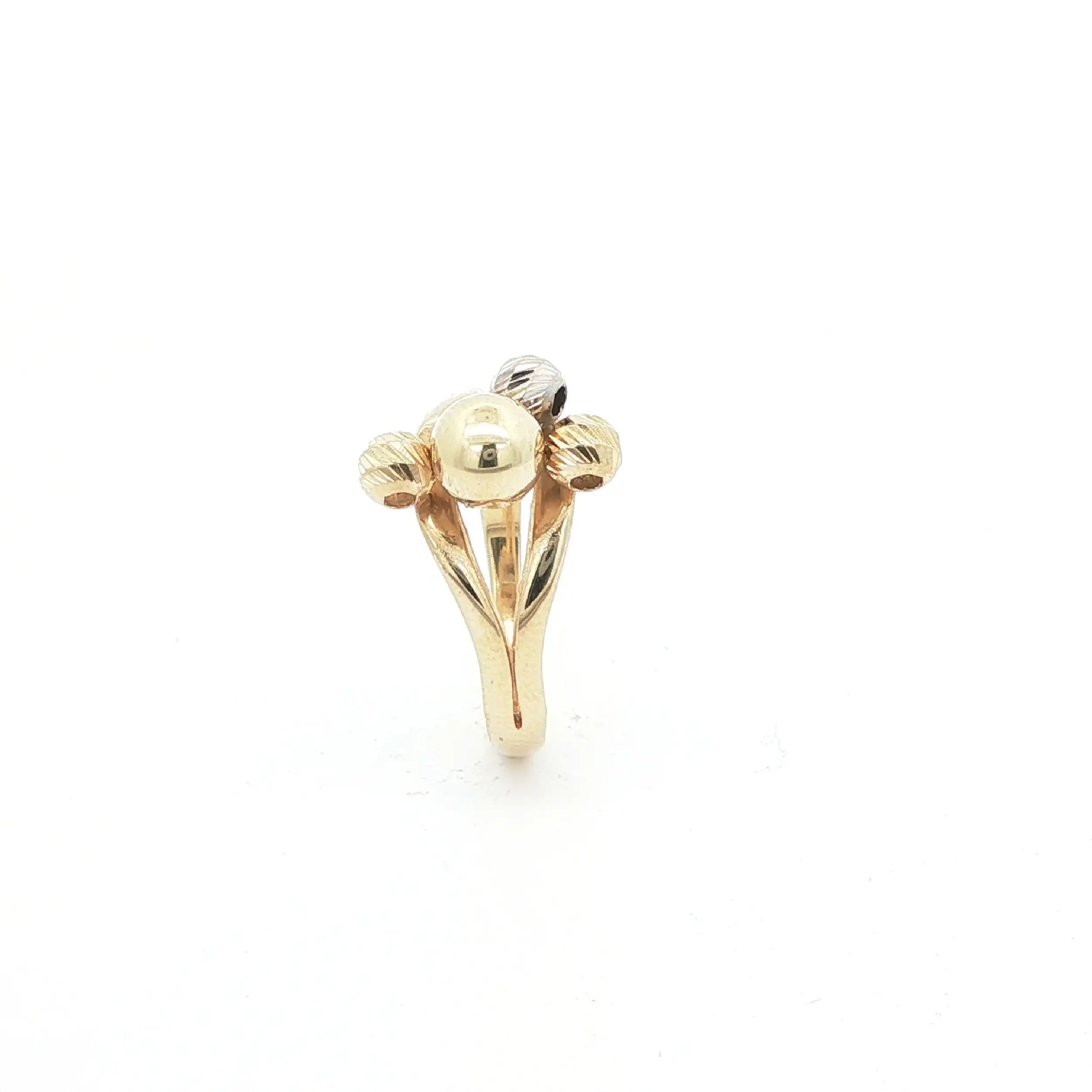 Ring Bicolor